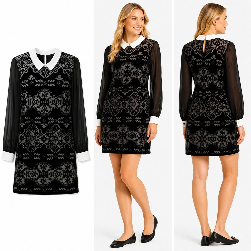 CeCe Dress Women 6 Black White Lace Peter Pan Collar Sheer Long‎ Sleeve Shift